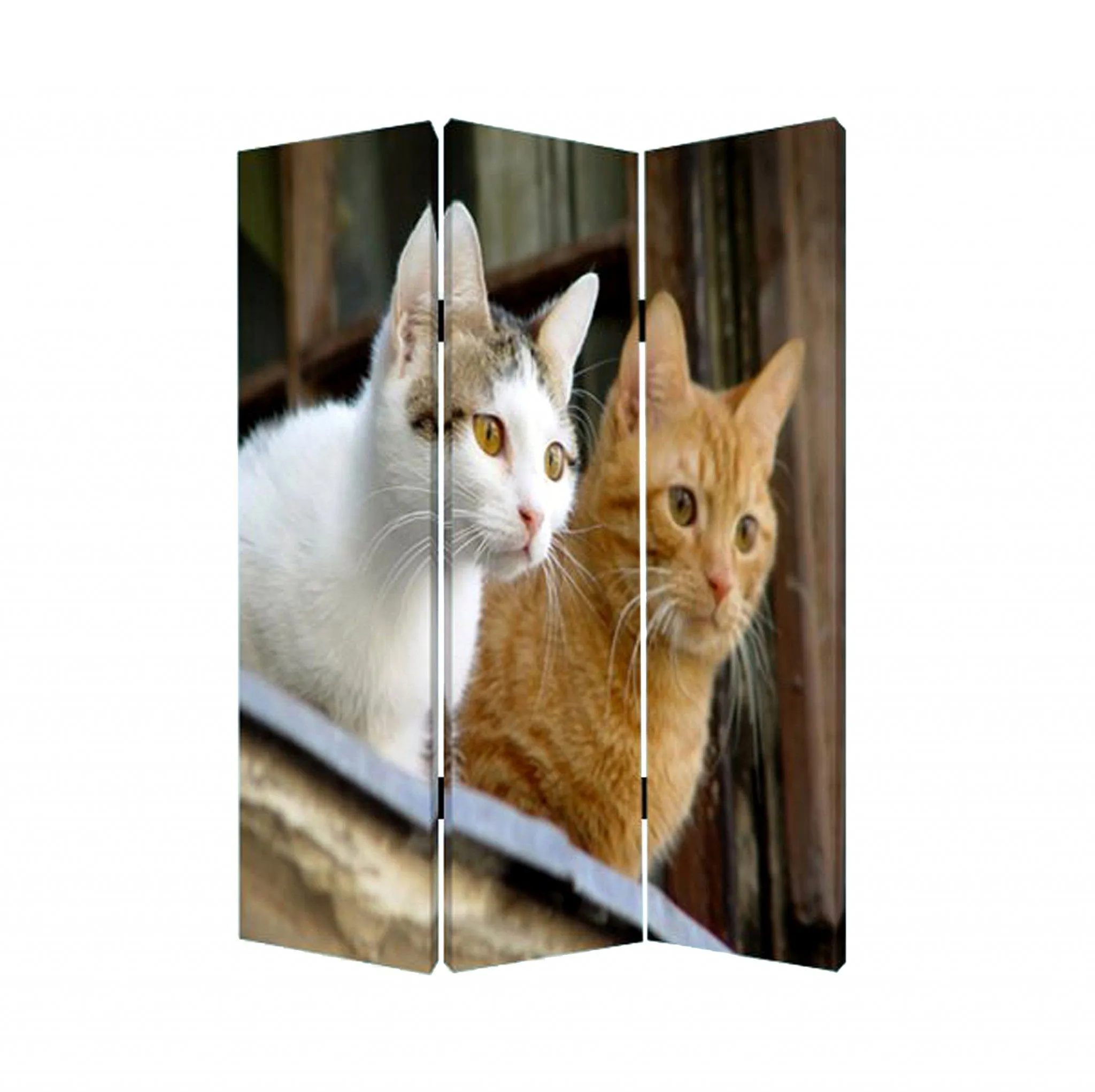 48 X 72 Multi Color Wood Canvas Curious Cat  Screen