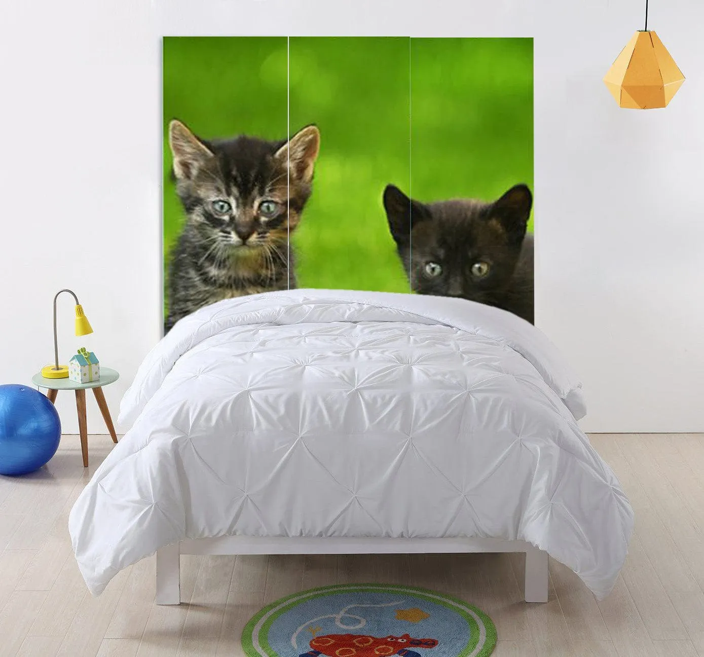 48 X 72 Multi Color Wood Canvas Curious Cat  Screen