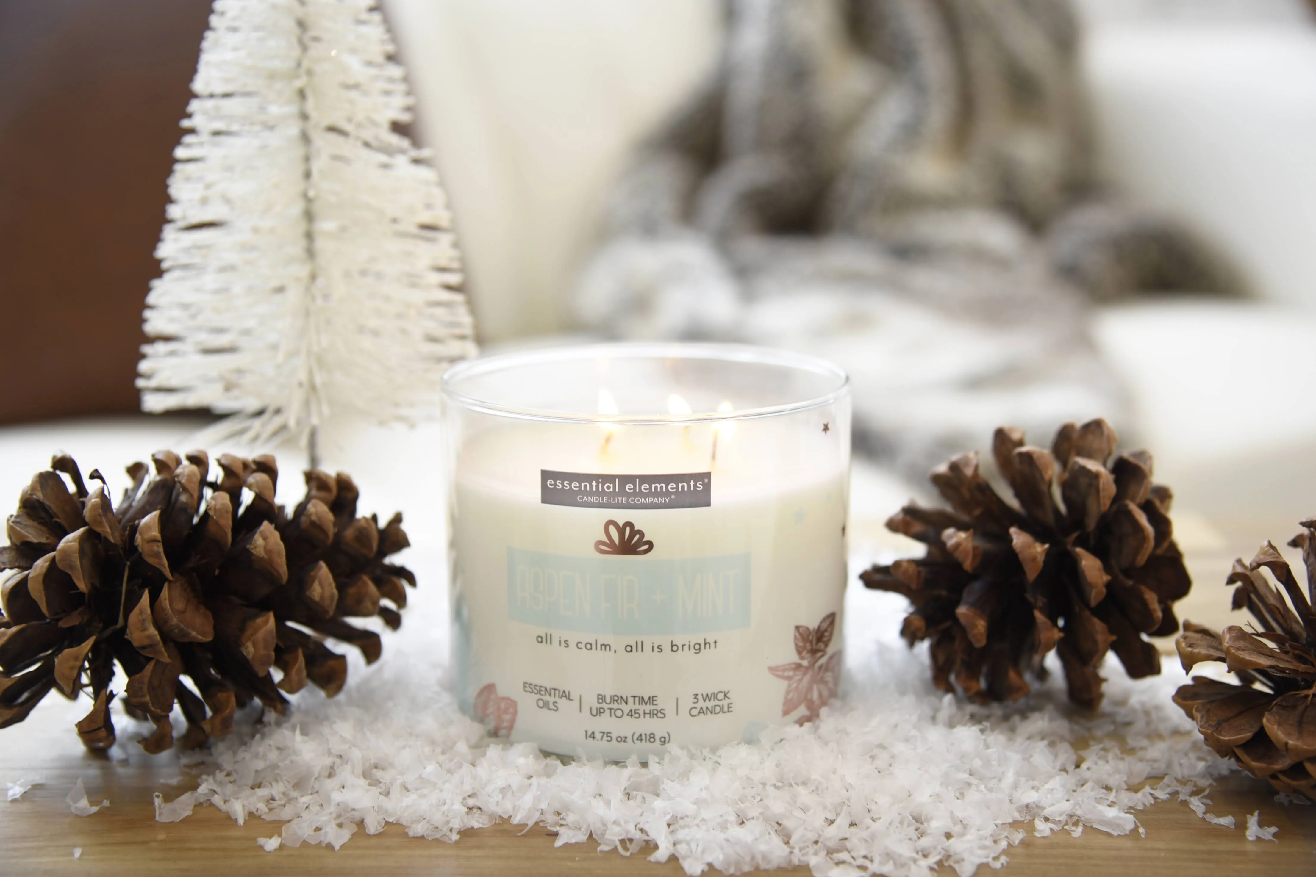 Aspen Fir   Mint 3-wick 14.75oz Jar Candle