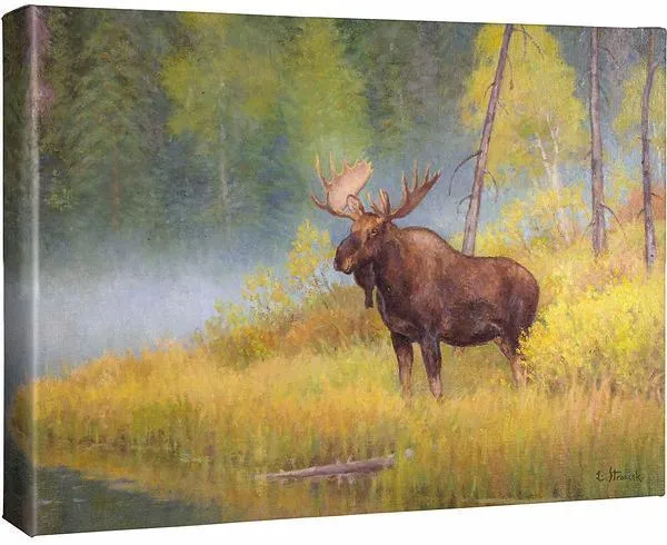 Autumn Bull—Moose