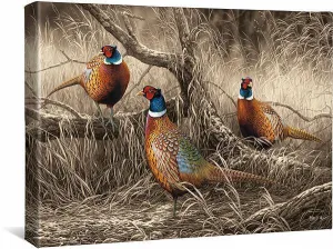 First Dusting—Pheasants - 13" x 18" Gallery Wrapped Canvas