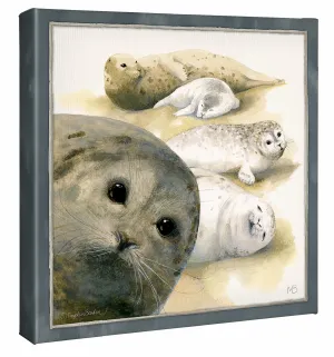 Harbor Seals at Sea Ranch