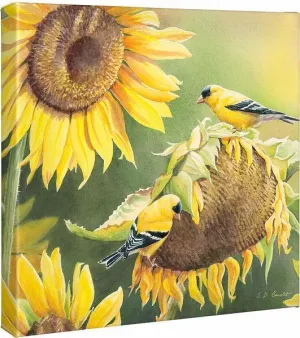 Midas Touch—Goldfinches