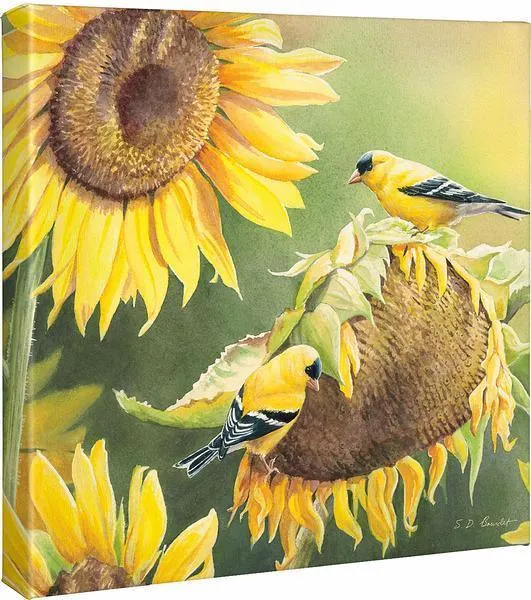 Midas Touch—Goldfinches