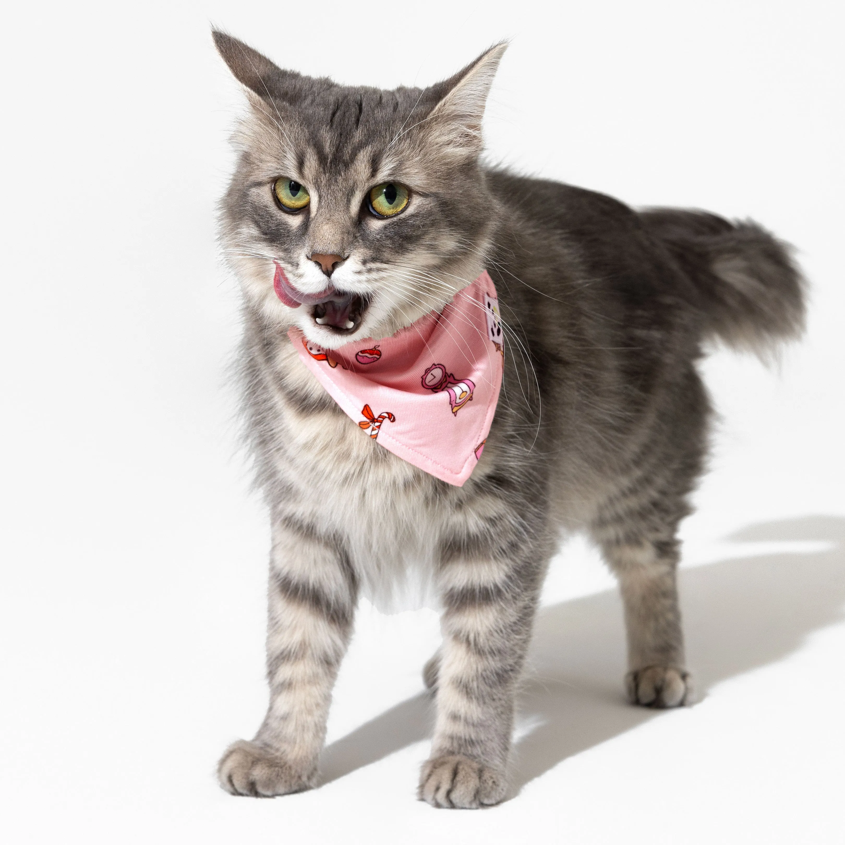 Nutcracker Pink Bamboo Matching Pet Bandana