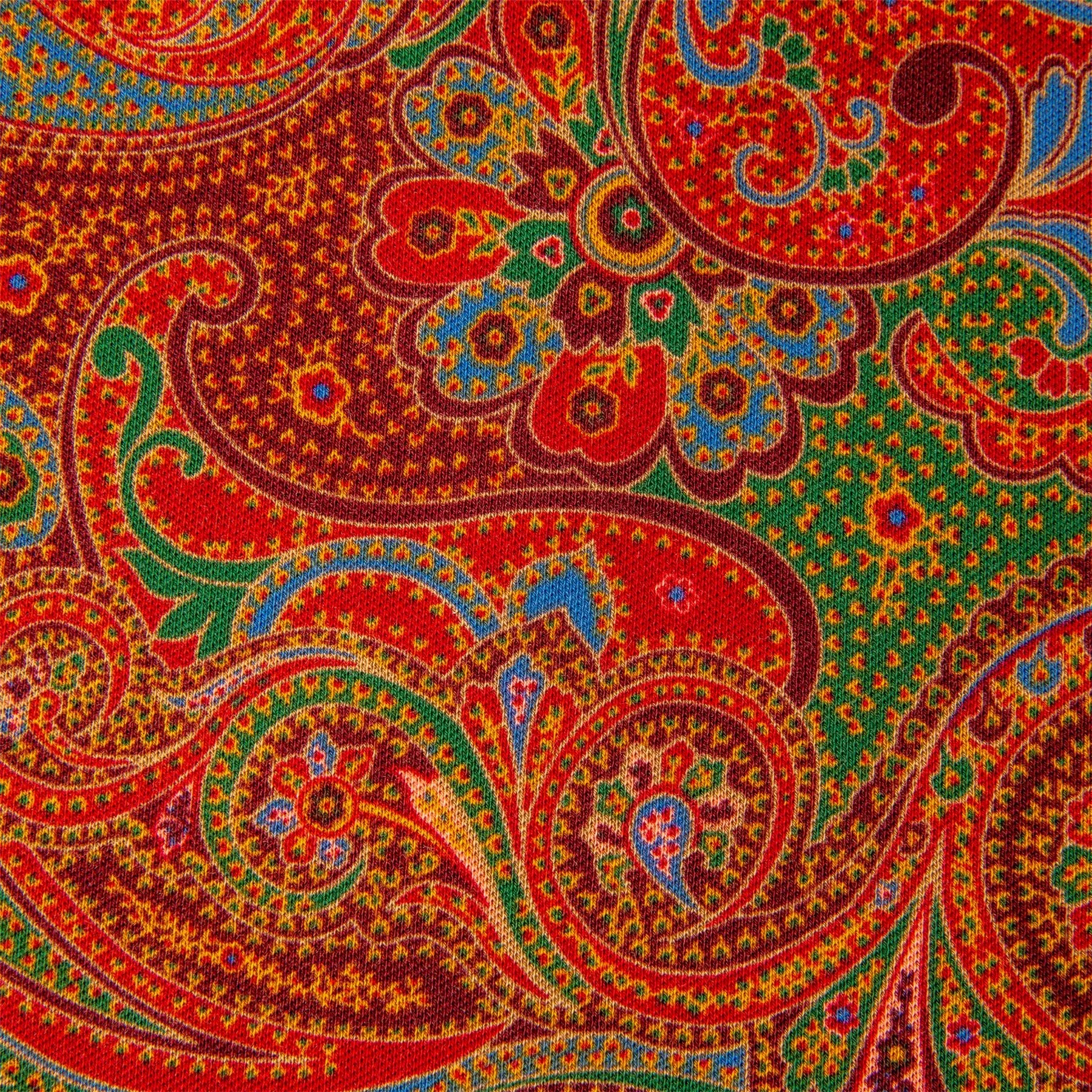 Womens Paisley Jersey Polo Shirt Ancient Madder Paisley - SS24